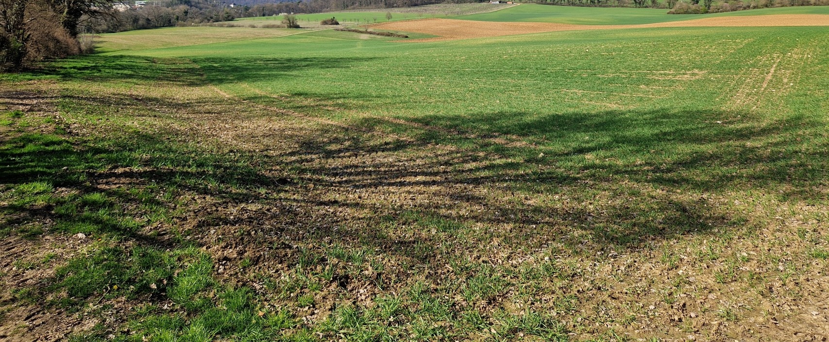 Balade printanière au bocage de Courroux